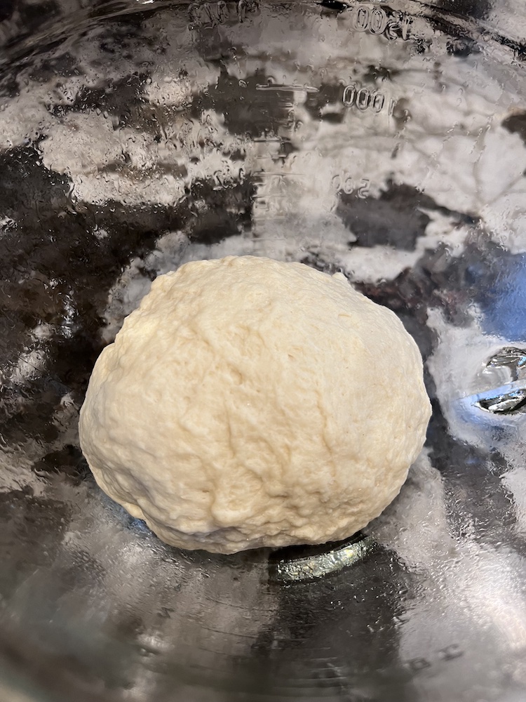 dough appearance after initial mix, before rise
